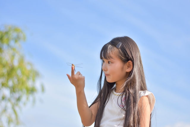 「新陽からはじまる澄川学びの場プロジェクト・夏」について