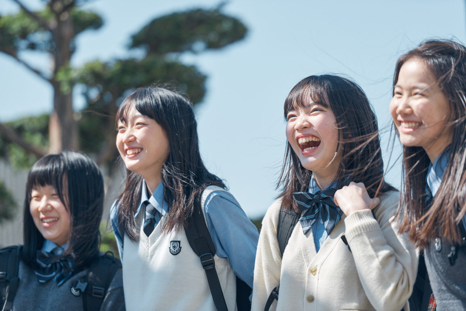 ９月のオープンスクールに参加できなくて、入学金半額５万円をあきらめていた新陽高校受験生へ。１１／４（祝）に新陽受験生の日を緊急開催！