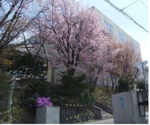 ３月１日の卒業式は行います　２月２８日（金）１９：３０