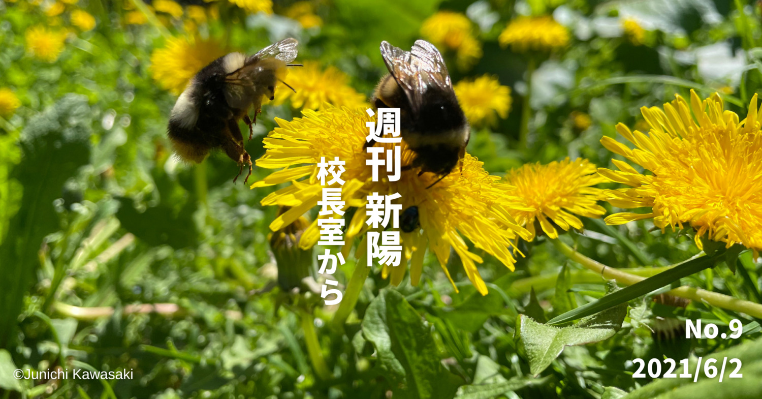 週刊新陽〜校長室から No.9