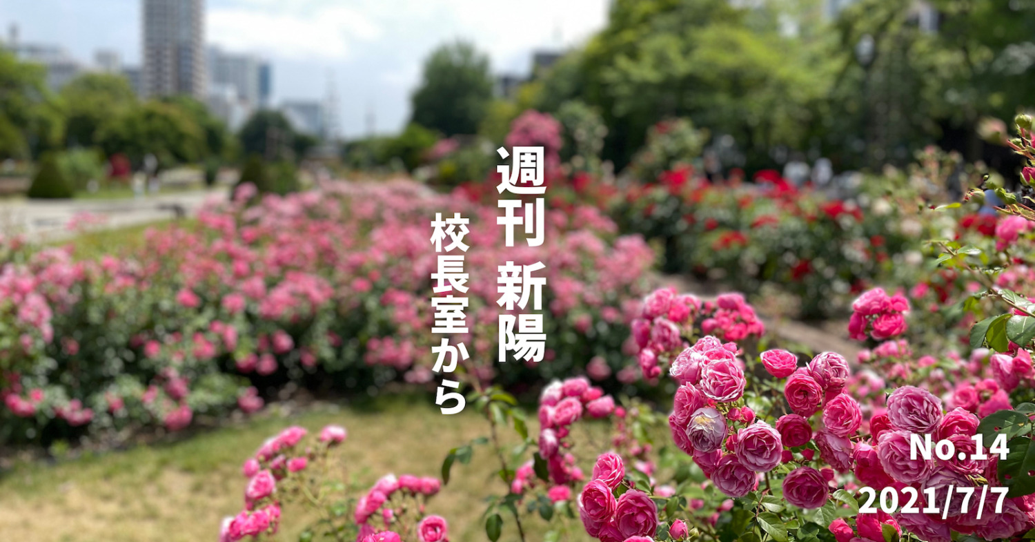 週刊新陽〜校長室から No.14