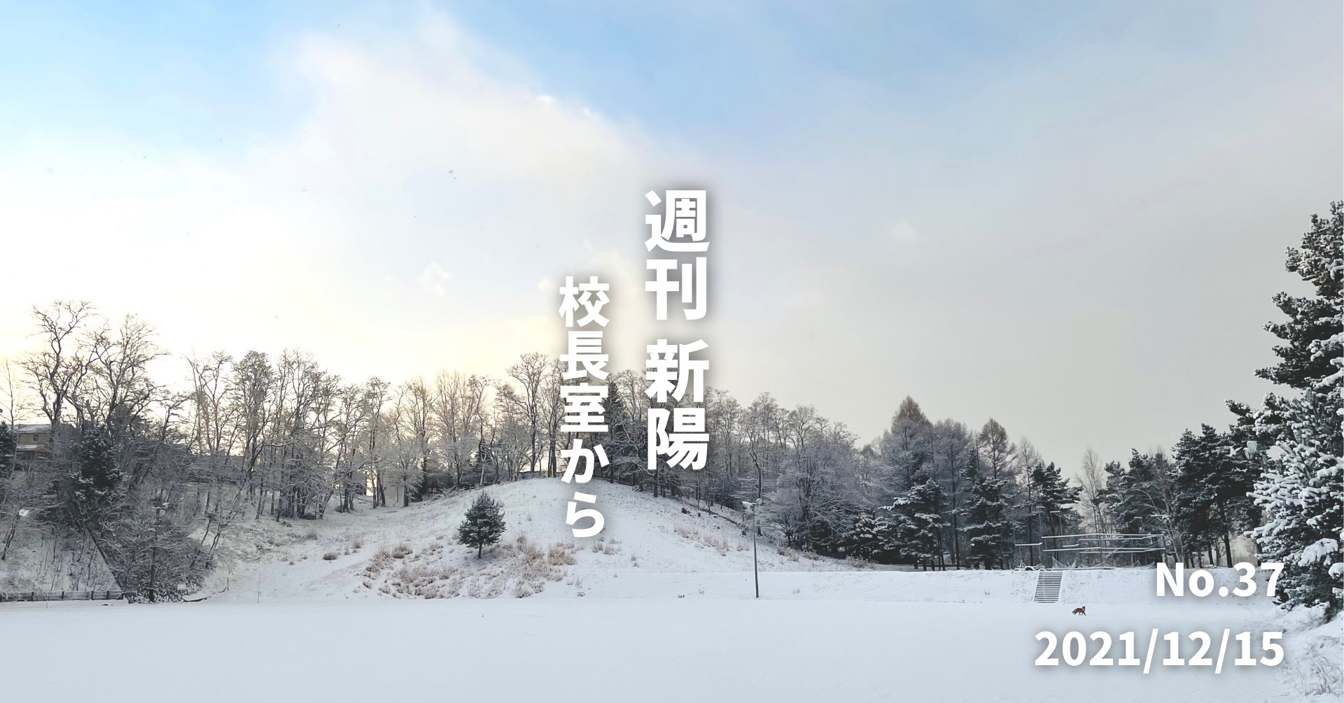 週刊新陽〜校長室から No.37