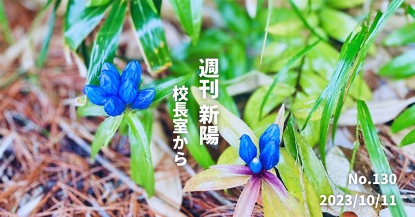 週刊新陽～校長室からNo.130