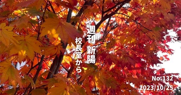 組織改革・進路支援・TikTokなど様々なテーマで記事掲載されています