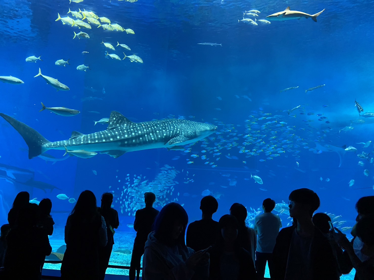 65期生修学旅行〜沖縄編〜