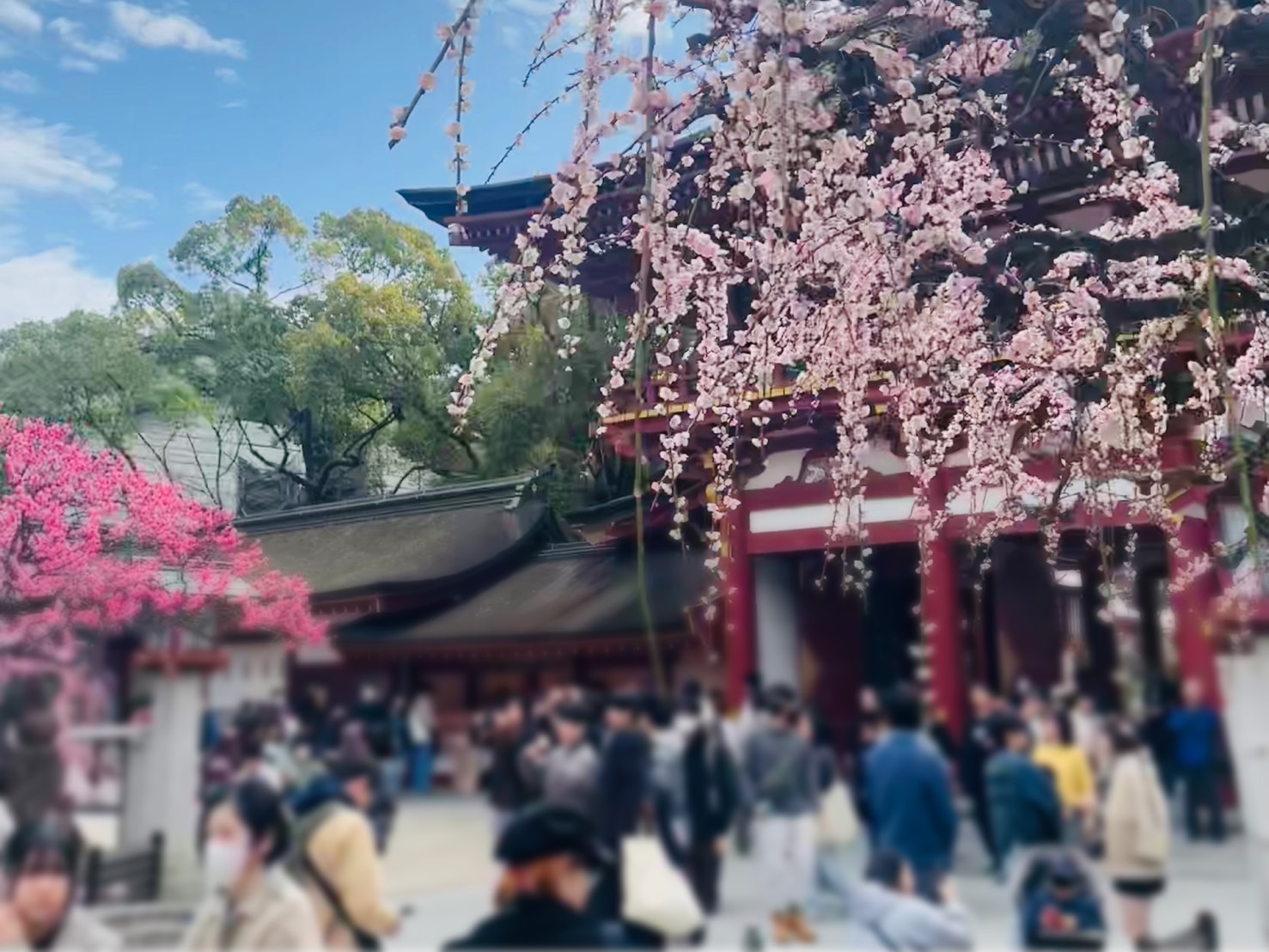 66期生 修学旅行記（九州編）