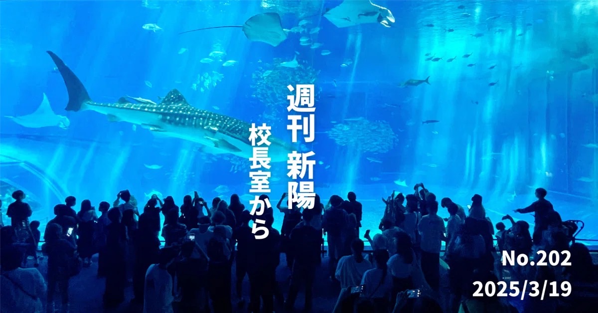 この度、新陽の校長を卒業します