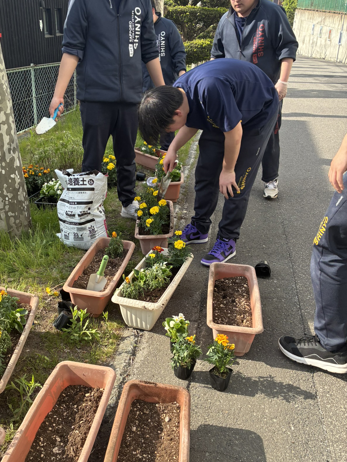 澄川町内会より寄贈いただいた花苗の植栽活動について
